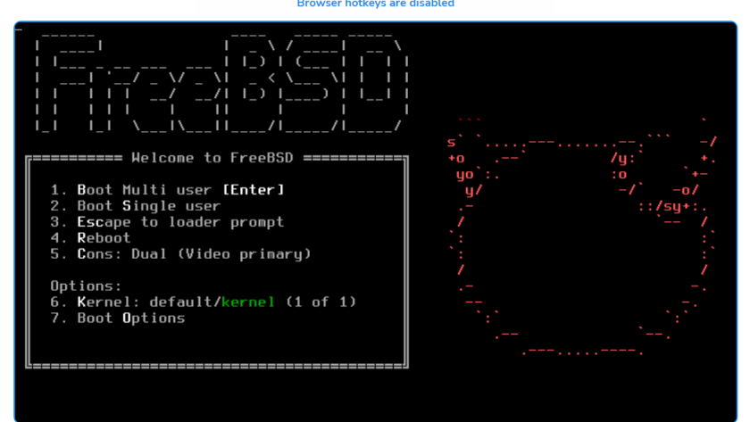 在 HostVDS 服务器上安装 FreeBSD 操作系统